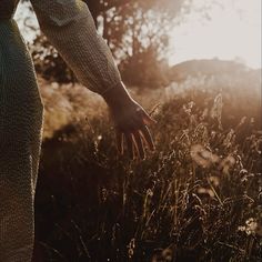 a person standing in tall grass with their hand on the ground and sunlight shining through trees