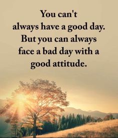 a quote that says you can't always have a good day but you can always face a bad day with a good attitude