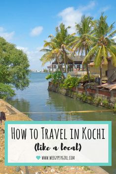 a river with palm trees and the words how to travel in kochi like a local