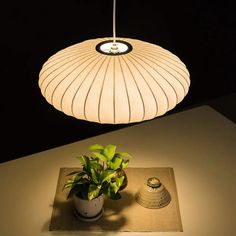 a white lamp hanging over a potted plant