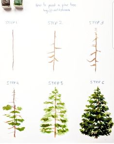 different types of trees are shown on a white board with markers and pencils in it