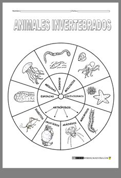 an animal's invertebrado wheel with animals and other things on it