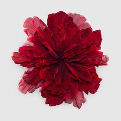 a large red flower on top of a white surface with lots of petals in the center