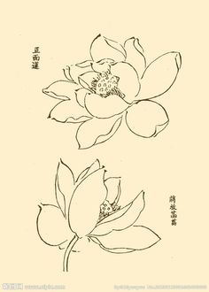 two flowers with chinese writing on the back and one is drawn in black ink by hand