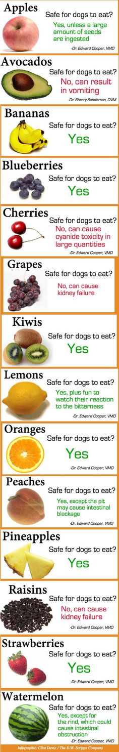 an orange and white poster with different types of food