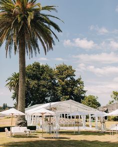 tables and chairs are set up under umbrellas for an outdoor wedding reception in the shade of a palm tree