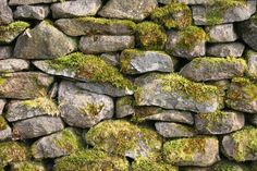 a stone wall with moss growing on it