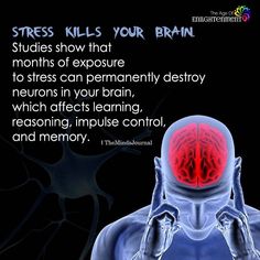 Loss Of Motivation, Physiological Facts, Brain Facts, Facts You Didnt Know, Psychology Fun Facts, Brain Science, Science Facts, Human Brain, Neurology