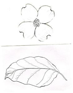 a drawing of a flower and a leaf