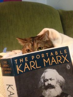 a cat laying on top of a book with an image of karl marx in it