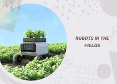 an image of a robot in the middle of a field with plants growing out of it