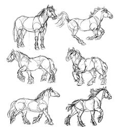 four horses are shown in different positions and sizes, including one horse with long manes