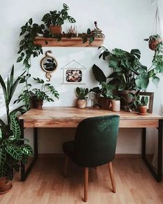 a wooden desk topped with lots of plants next to a wall mounted shelf filled with potted plants