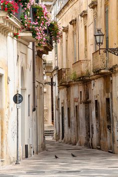 two birds are sitting on the street in front of some buildings with flowers hanging from them