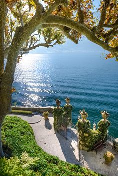 an outdoor area overlooking the water and trees