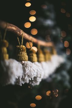 some tassels hanging from a tree branch with lights in the backround