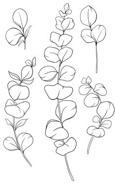 four different types of plants with leaves and stems in black ink on a white background