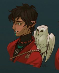 two anime characters with an owl on their shoulder