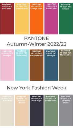 pantone autumn - winter 2012 / 2013 new york fashion week color chart with the names