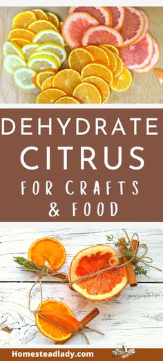 oranges, lemons and other citrus fruits with text overlay that reads dehydraate citruss for crafts and food