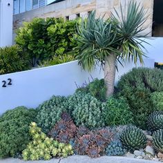 an assortment of succulents and plants in front of a white wall with numbers on it