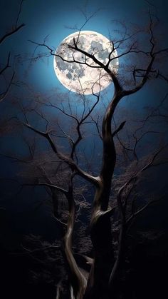 the full moon shines brightly in the night sky above trees with no leaves on them