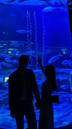 a man and woman standing in front of an aquarium