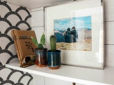 some cactus plants are sitting on a shelf in front of a picture and other items