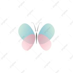 a butterfly with two colors on it's wings, and one is pink and blue