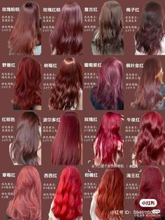 Red hair clolor chart, brown hair, xiaohongshu Hair Colors With Names, Red Hair Color Swatches, Skin Color Hair Color Chart, Mocha Red Brown Hair, Red Brownish Hair Color, Japanese Hair Dye Colour, At Home Red Hair Color, Red Hair Colour Chart, Red Hair Tips On Brown Hair