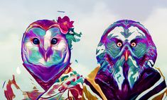 two colorful owls are standing next to each other in front of a blue and white sky