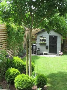 a small backyard garden with green grass and trees in the back yard, next to a shed