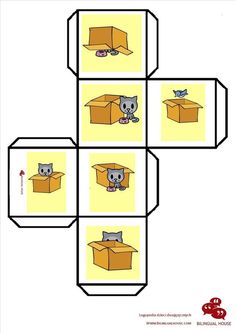 an open box with four pictures of cats in it and one cat inside the box