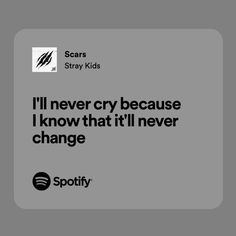 Stray Kids Lyrics Spotify, Stray Kids Song Lyrics, Skz Lyrics, Music Template, Kpop Lyrics, Music Letters, Meaningful Lyrics, Kpop Quotes, Spotify Lyrics