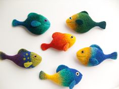 five different colored fish on a white surface