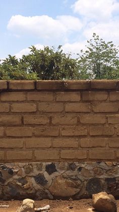 a giraffe standing next to a brick wall