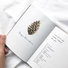 a person holding an open book with a pine cone on it