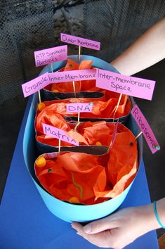 a blue bowl filled with orange flowers on top of a purple tablecloth covered floor