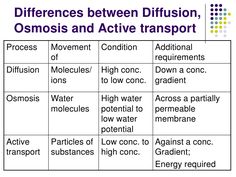 the differences between different substances and active transport