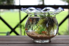 a glass vase filled with water and plants