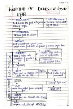 a paper with some writing on it that says working of digest system in the form of a diagram