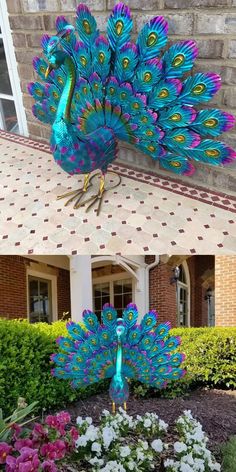 two peacocks are standing in front of a house and one is displaying its feathers