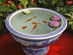 a bowl filled with water and goldfish swimming in it's own pond surrounded by flowers