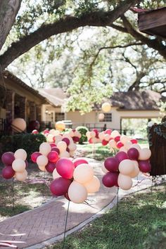 balloons are lined up in the yard for a party