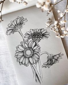 a drawing of some flowers on top of a piece of paper next to white flowers