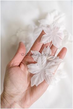 a hand holding three white flowers in it's palm, on a white background