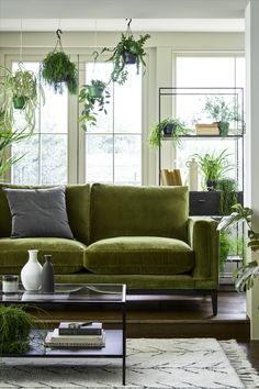 a living room filled with lots of green furniture and plants on the windowsills