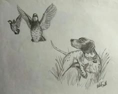 a drawing of a dog chasing a bird