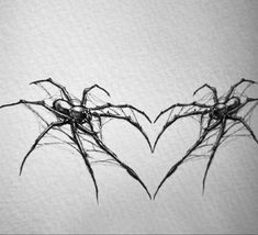 black and white photograph of two spider webs in the shape of heart shaped hands