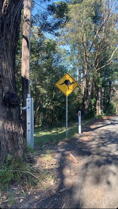 a yellow street sign sitting on the side of a road next to a lush green forest